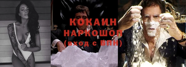 хмурый Осинники