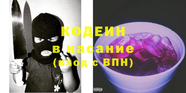 хмурый Осинники