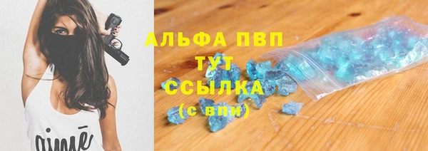 хмурый Осинники