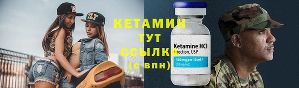 хмурый Осинники