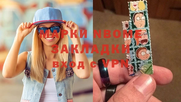 хмурый Осинники