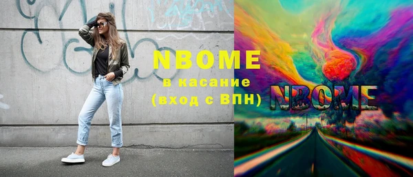хмурый Осинники