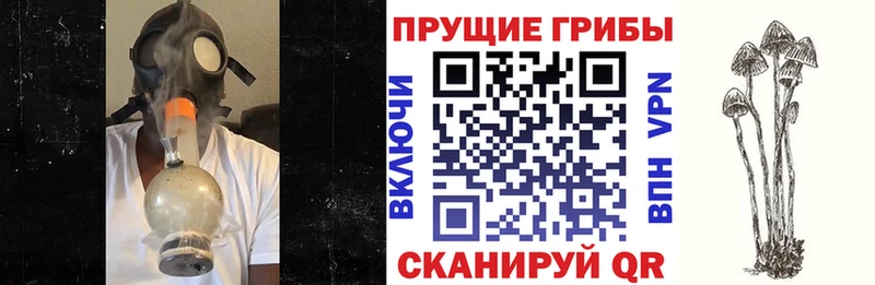ссылка на мегу ссылка  Ковылкино  Галлюциногенные грибы прущие грибы  купить  цена 